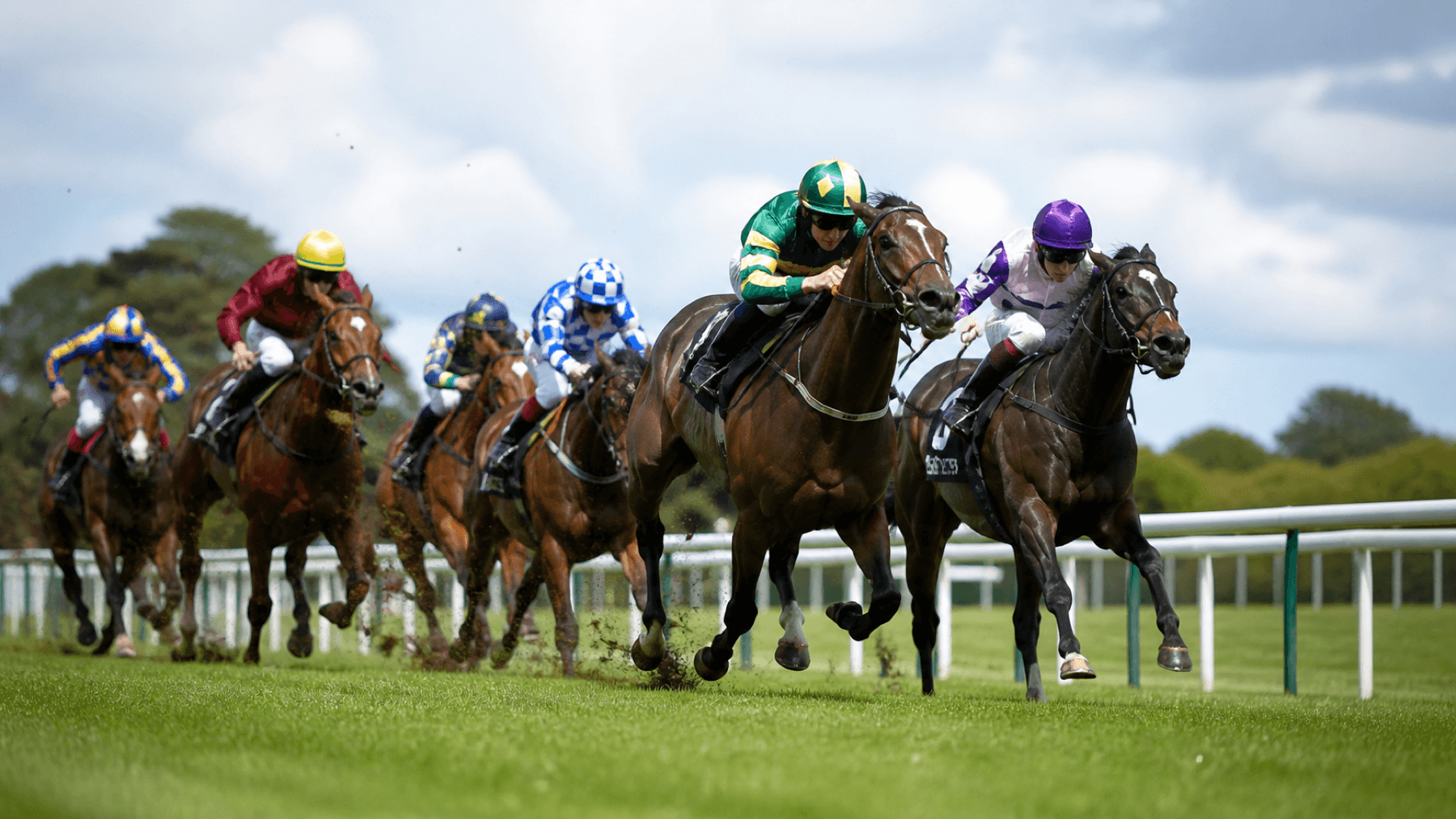 Horse racing field used to explain backing versus laying