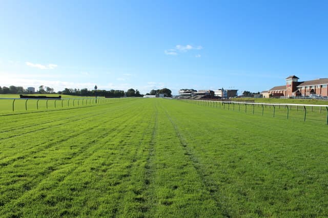 Ayr Racecourse viewed from the course grounds