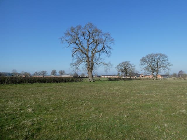 View towards Bangor-on-Dee Racecourse