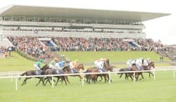 Horse racing action at Limerick Racecourse