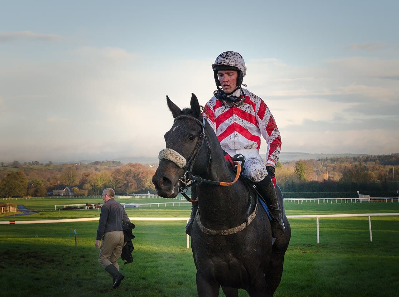 Race is over at Naas Racecourse