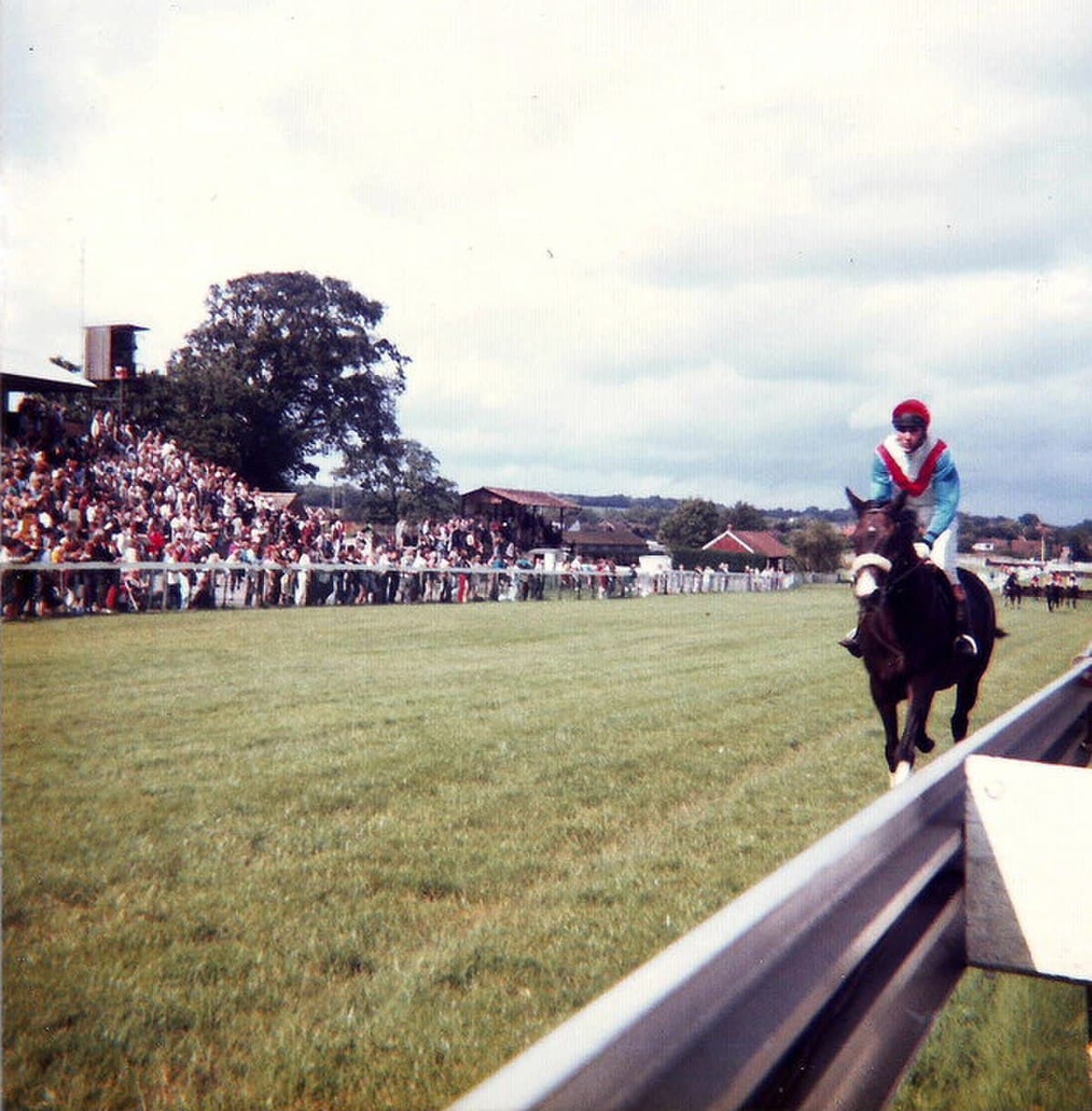 Winner at Plumpton Racecourse
