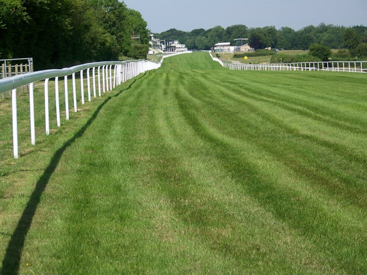 The straight at Salisbury Racecourse