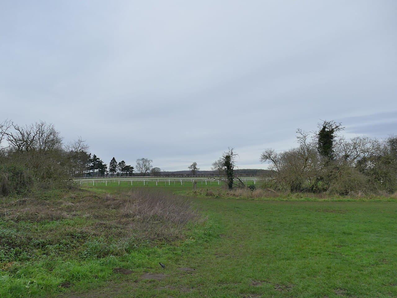 Thirsk Racecourse